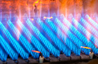 Cwmbelan gas fired boilers